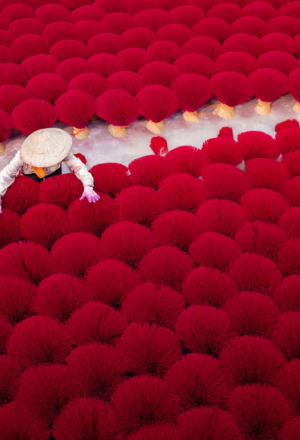 Discover the Fragrant Beauty of Incense Village Hanoi