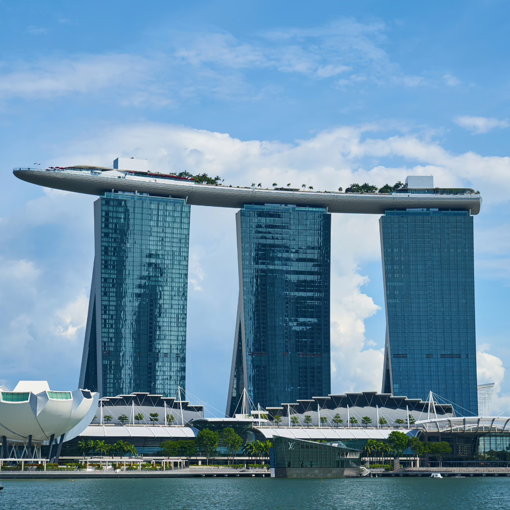 singpore mice activity