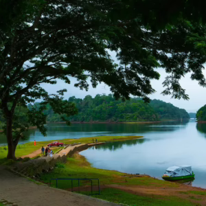thekkady