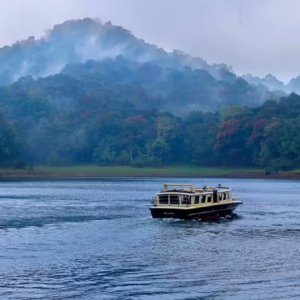 thekkady1