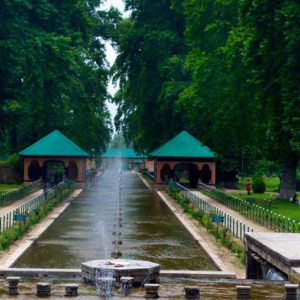 shalimar-bagh-srinagar2